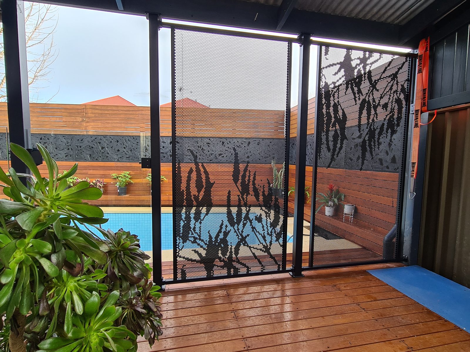Gum design perforated pool fencing in Textured Black beside an Adelaide pool